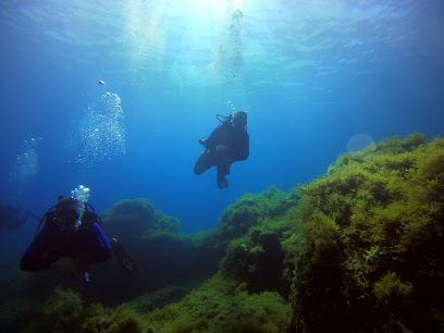 SUTTAKKUA Diving Center