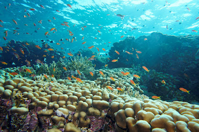 Nosytour - Agenzia Viaggi On Line