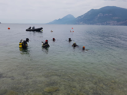 ASSO SUB VERONA