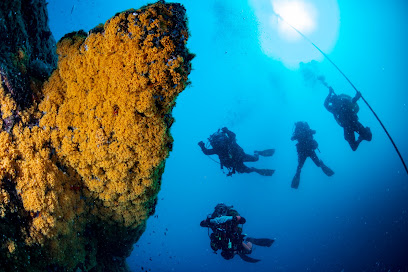 Punta Campanella Diving Center