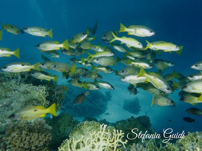 esse&e diving school A.S.D.