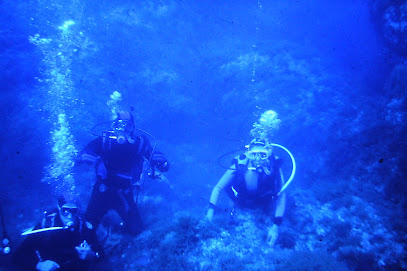 A.S. SUB RECCO