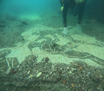 Subaia Diving Center
