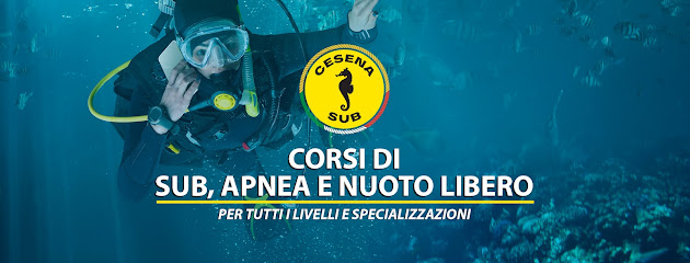 Cesena Sub