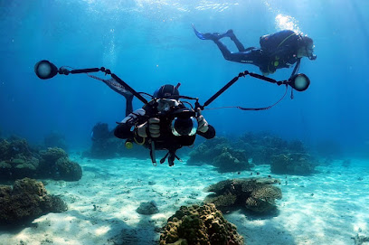 ProDiving (Corsi Sub Roma)