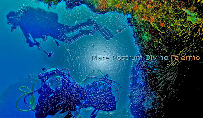 Mare Nostrum Diving School