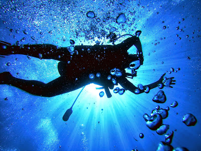 Diving Service - Centro Immersioni e Scuola Sub