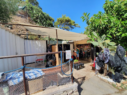 Tremiti Diving Center
