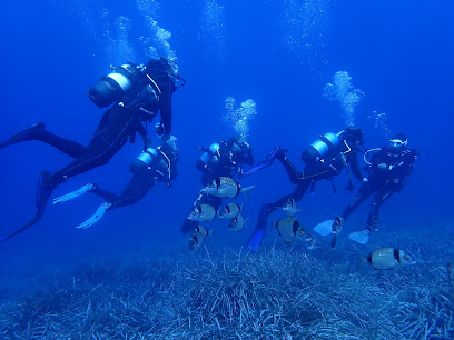 Bluelba diving center