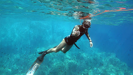 A.S.D. World Diving