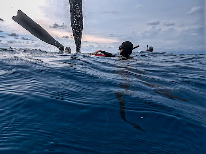 Freedive Portofino