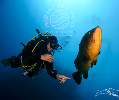 MARINA DI CAMPO DIVING CENTER- IMMERSIONI PIANOSA