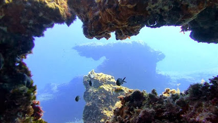 Élite Diving Agency