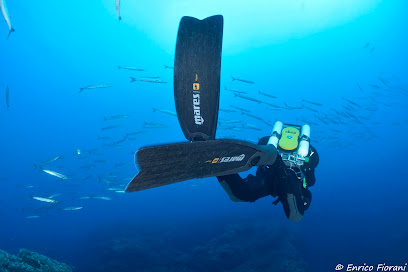 Ventotene Diving Tech & Reb