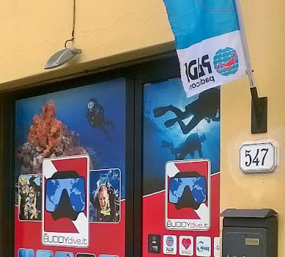 Buddydive