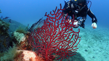 Areamare Diving