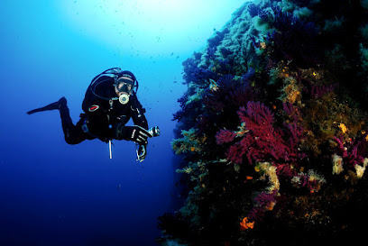 Blue Tek Diving - Marettimo