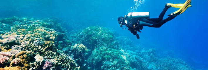 Asd Posidonia Sub