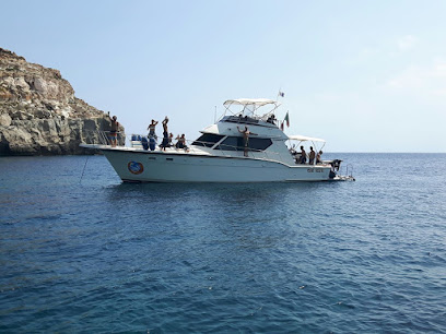 Blue Dolphins Diving Lampedusa