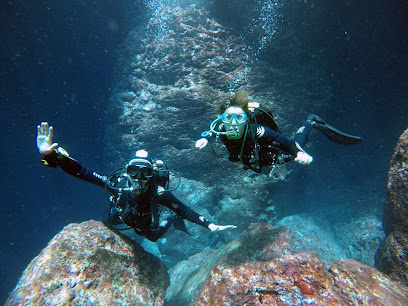 Divewise Malta