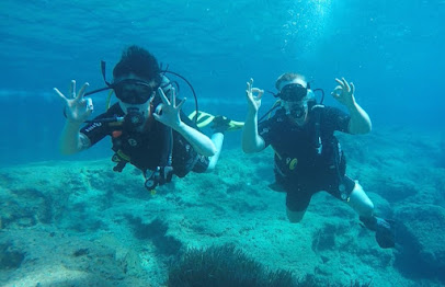 Scuba Life Malta