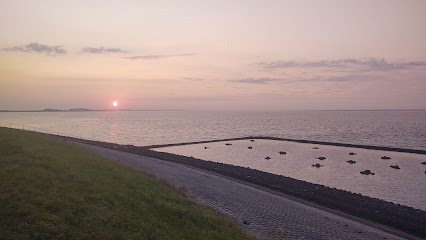 Diving Spot De Parking