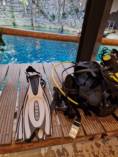 Duikvereniging Dive-OK