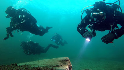 International Association of Diving Schools (IADS)