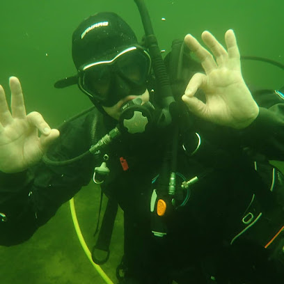 Ortega Diving