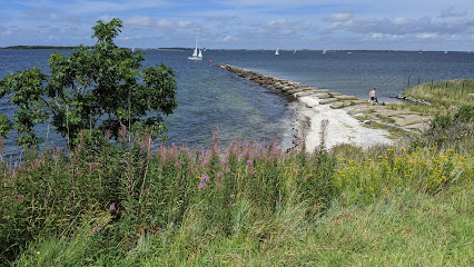 Haven Den Osse
