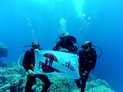 Family Divers