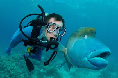 SafeDive