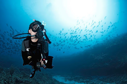 Swimming and Diving Center Meduza