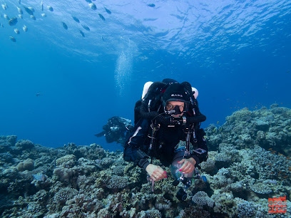 Rebreather Trójmiasto | Good-Dive