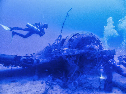 Dub Divers