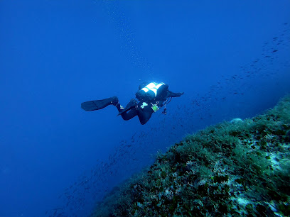 Diveworld