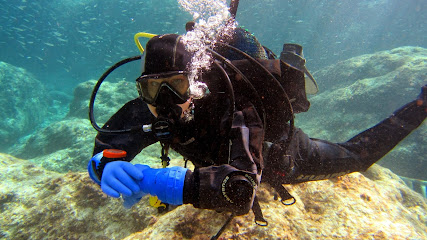 Centrum Nurkowe Diving NET