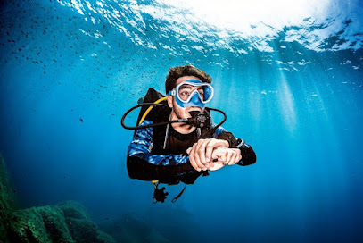 Good dive