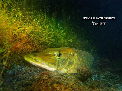 Mazurskie Safari Nurkowe - najlepsze miejsce do nurkowania - kurs nurka