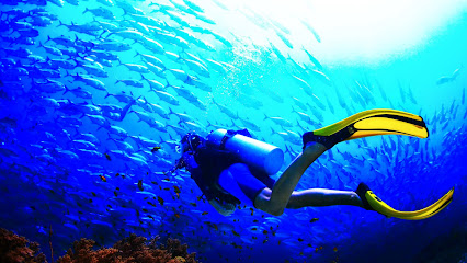 Diving Acaemy kursy nurkowania SSI PADI