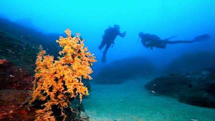 Scorpio Madeira diving center