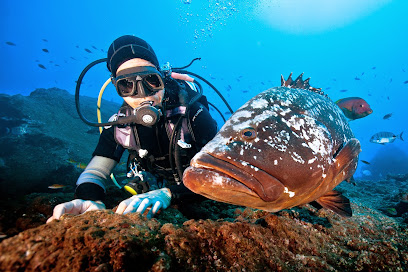 Madeira Diving Center