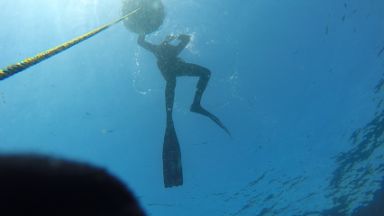Águas Vivas Apneia - Freediving Portugal