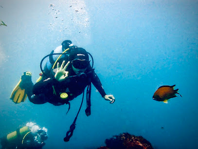 Azoresdiving/Açordiving SSI/Mares Dive Center