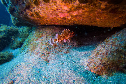 Espírito Azul Dive Center - Dive in Azores Islands