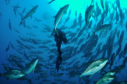 Porto Santo Sub - Scuba & Freedive Center