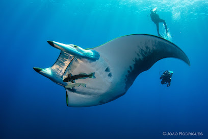 Sea Riders Dive Center