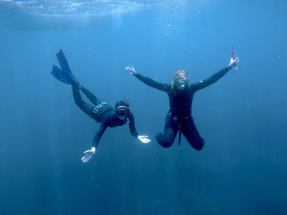SPOT FREEDIVE - Freediving Portugal