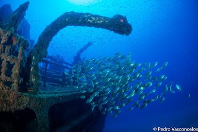 Rhea Dive Center