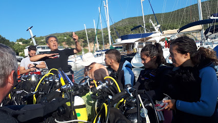 Cipreia Dive Club | Headquarters & Store